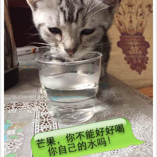 车辆商业保险单怎么造假